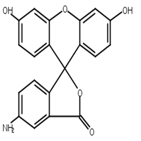 5-氨基荧光素