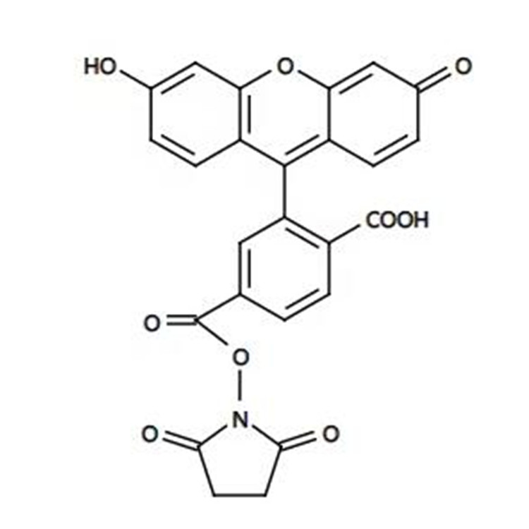92557-81-8，6-羧基荧光素琥珀酰亚胺酯 6-FAM,SE