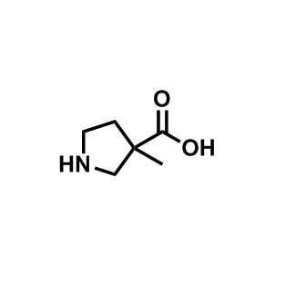 3-甲基吡咯烷-3-羧酸