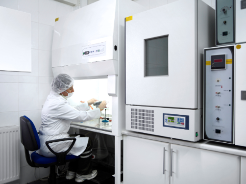 肾脏缺血再灌注模型