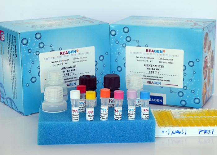 美国REAGEN 现货供应 氯霉素酶联免疫反应试剂盒