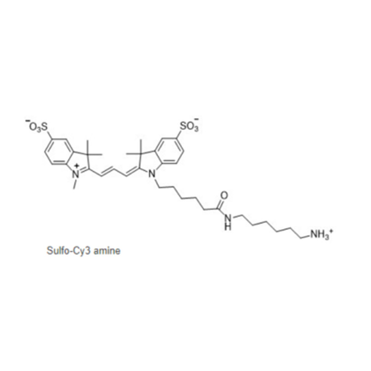 水溶性花青素3氨基，2183440-43-7，Sulfo-Cy3 amine