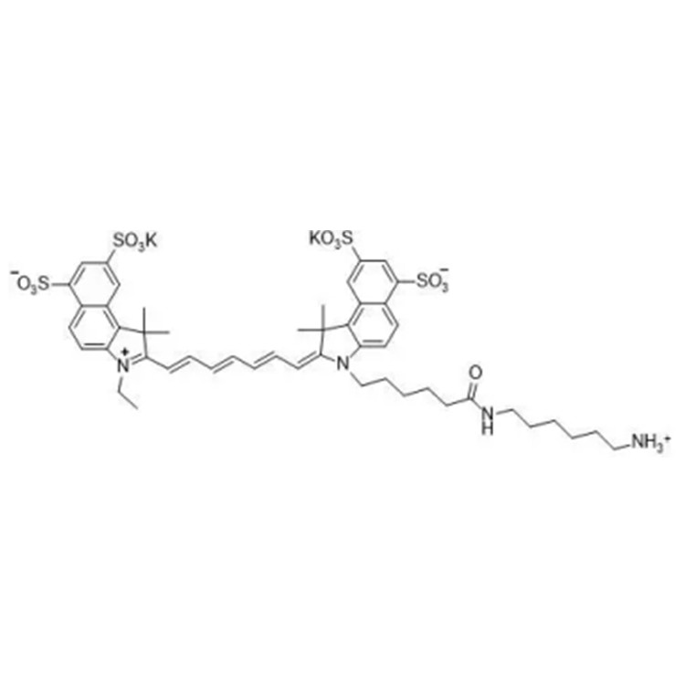 磺酸基-花青素Cy7.5 氨基