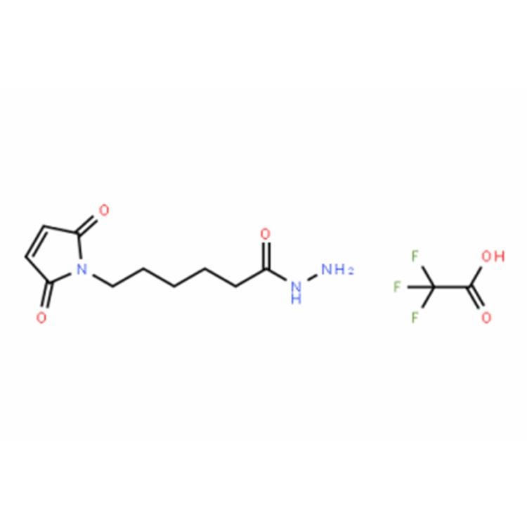 6-马来酰亚胺基己酸酰肼三氟乙酸盐