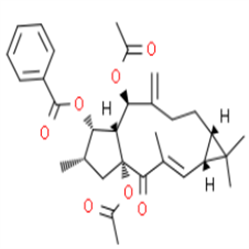 大戟因子L3