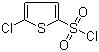 CAS 登录号：2766-74-7, 5-氯噻吩-2-磺酰氯