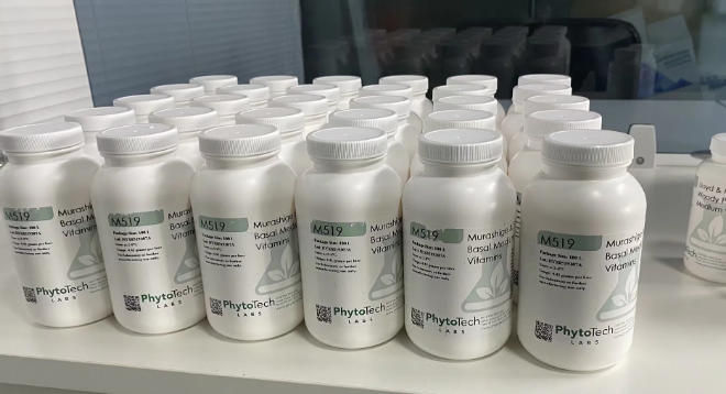 Phytotech植物组培转基因专用培养基