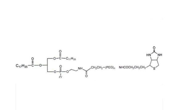 磷脂-聚乙二醇-生物素