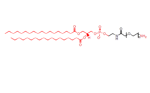 磷脂-聚乙二醇-氨基