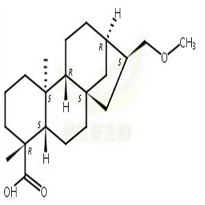 豨莶醚酸