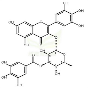 3''-O-没食子酰基杨梅苷