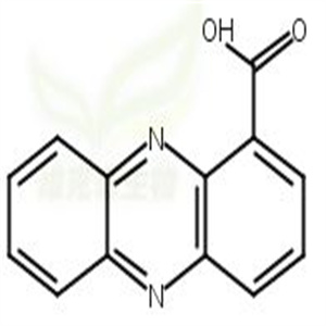 吩嗪-1-羧酸