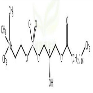 1-硬脂酰基-sn-甘油-3-磷酸胆碱
