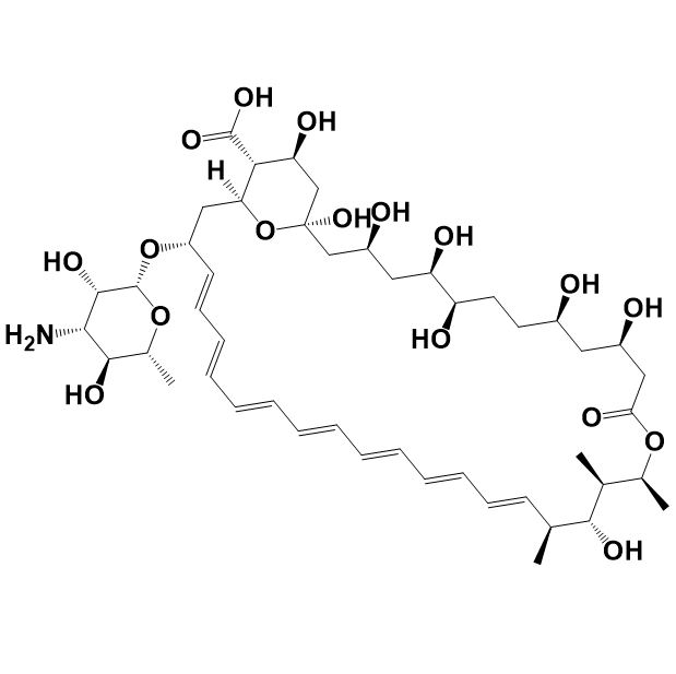 医药级两性霉素B