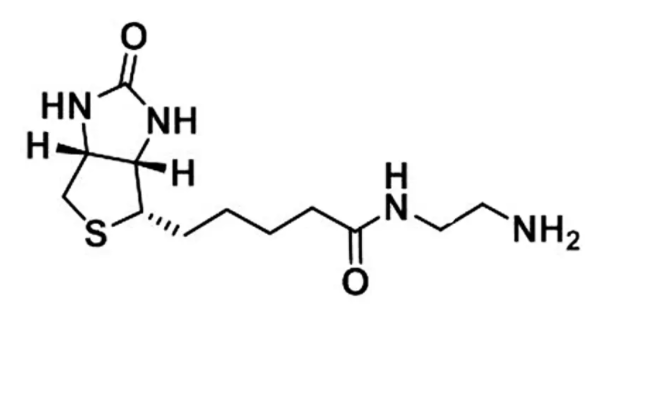 生物素-氨基，Biotin-NH2，111790-37-5，Biotin-EDA