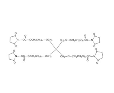 4 arm PEG NHS 20 K 四臂PEG活性酯