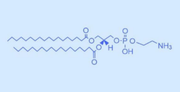 DSPE-PEG-Heparin 肝素修饰聚乙二醇PE磷脂