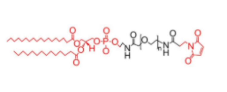 DSPE-PEG2000-MAL 磷脂-聚乙二醇-马来酰亚胺