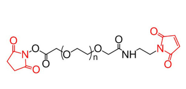 ?NHS-PEG-H2 NHS-PEG-MAL 活性酯聚乙二醇马来酰亚胺