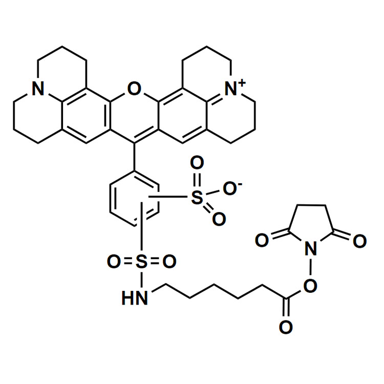 Texas Red-X NHS ester，216972-99-5，德州红-X琥珀酰亚胺酯