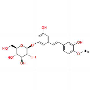 土大黄苷，155-58-8，Rhapontin，现货直采。