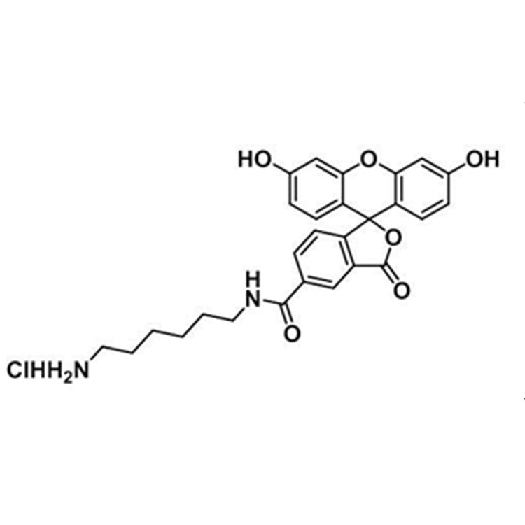 5-FAM amine HCl，2183440-41-5，5-羧基荧光素-氨基盐酸盐