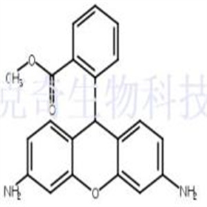 二氢罗丹明123  CAS号：109244-58-8