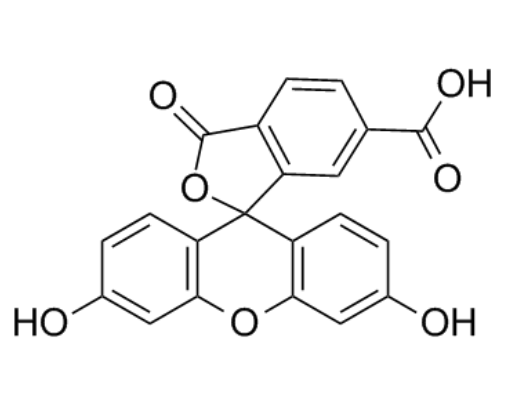 6-羧基荧光素