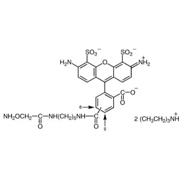 AF488 Hydroxylamine，AF488 羟胺