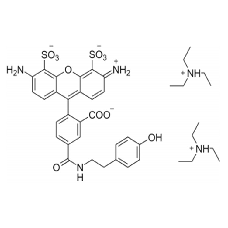 AF488 tyramide，AF488 酪胺