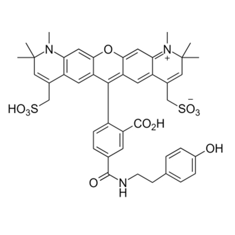 AF594 tyramide，AF594 酪胺