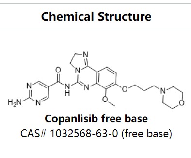 Copanlisib BAY 80-6946