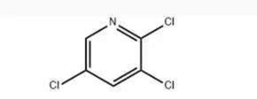 炔草酯中间体2,3,5-三氯吡啶工厂生产
