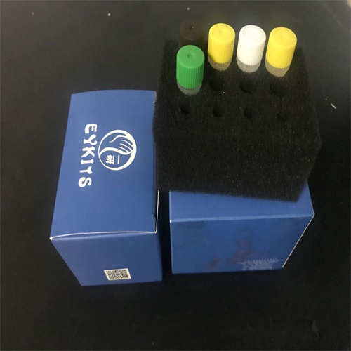 通用型PCR试剂盒