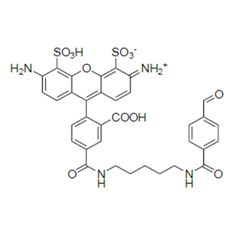 AF488 aldehyde，AF488 醛