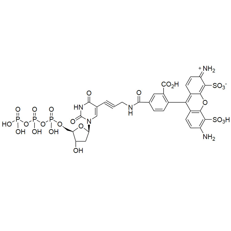 AF488-dUTP，AF488 脱氧尿苷5'-三磷酸酯