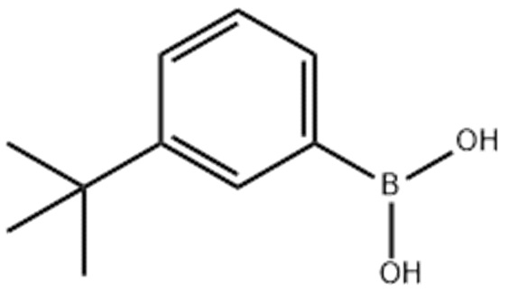 3-叔丁基苯硼酸 560132-24-3 现货，大量供应，量大从优，可适当分装，质量保证，稳定供应