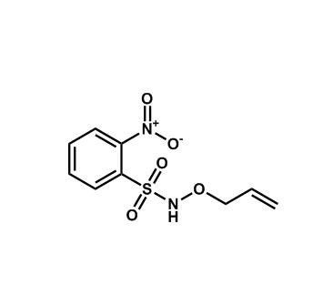 N-(烯丙氧基)-2-硝基苯磺酰胺