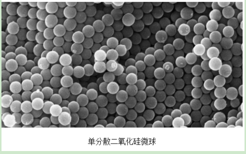 二氧化硅微球  Silica Microspheres 