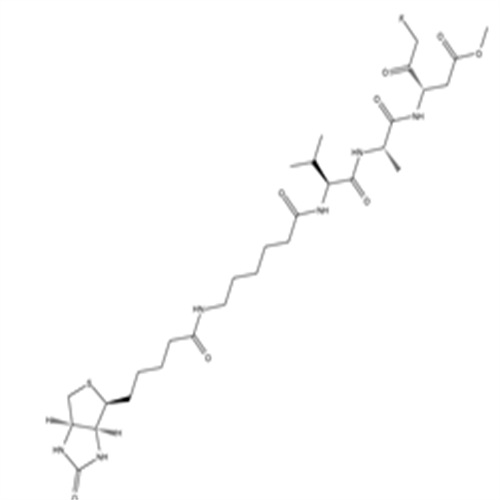 1135688-15-1Biotin-VAD-FMK