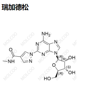 实验室现货供应   瑞加德松杂质 1