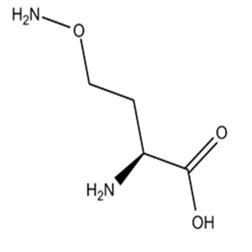 496-93-5L-Canaline