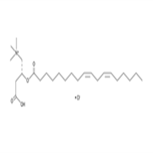 173686-75-4Linoleoyl-L-carnitine (chloride)