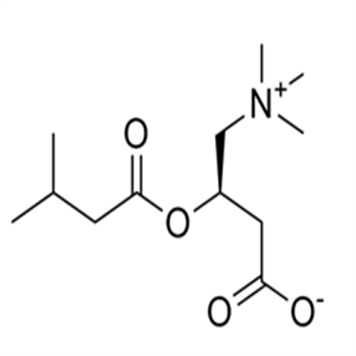 31023-24-2Isovalerylcarnitine