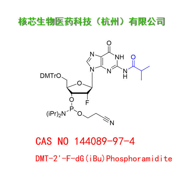 DMT-2'-F-dG(iBu) Phosphoramidite 工厂大货