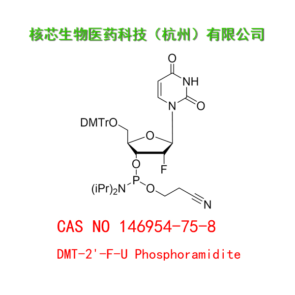 DMT-2'-F-U Phosphoramidite 工厂大货