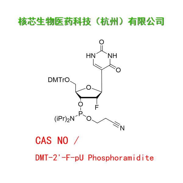 DMT-2'-F-pU Phosphoramidite 工厂大货