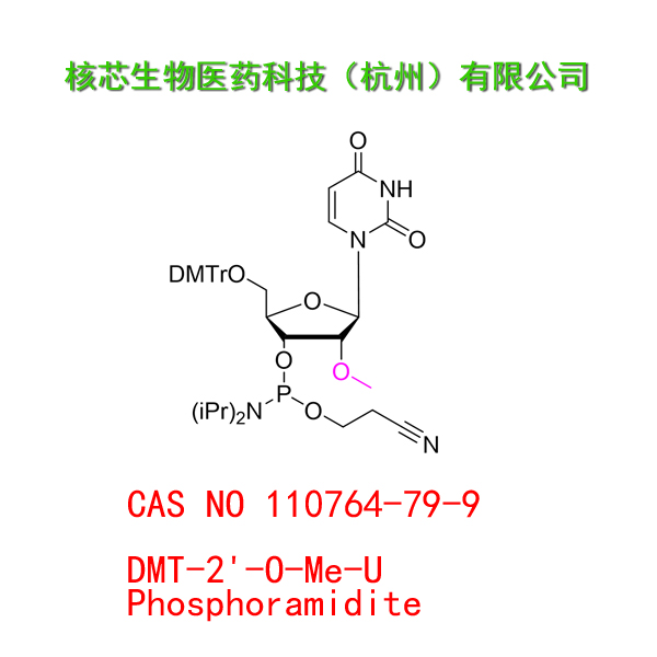 DMT-2'-O-Me-U Phosphoramidite  工厂大货