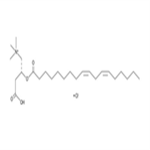 Linoleoyl-L-carnitine (chloride).png