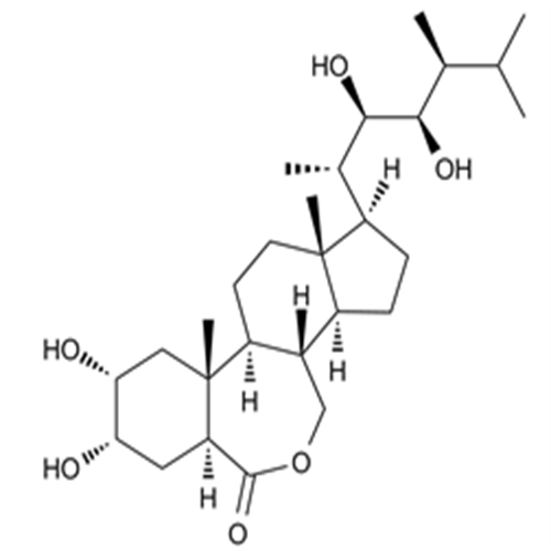 72962-43-7Brassinolide